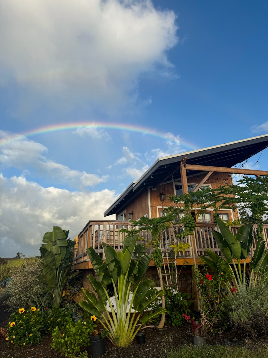 The Hawaii Hype&nbsp;House